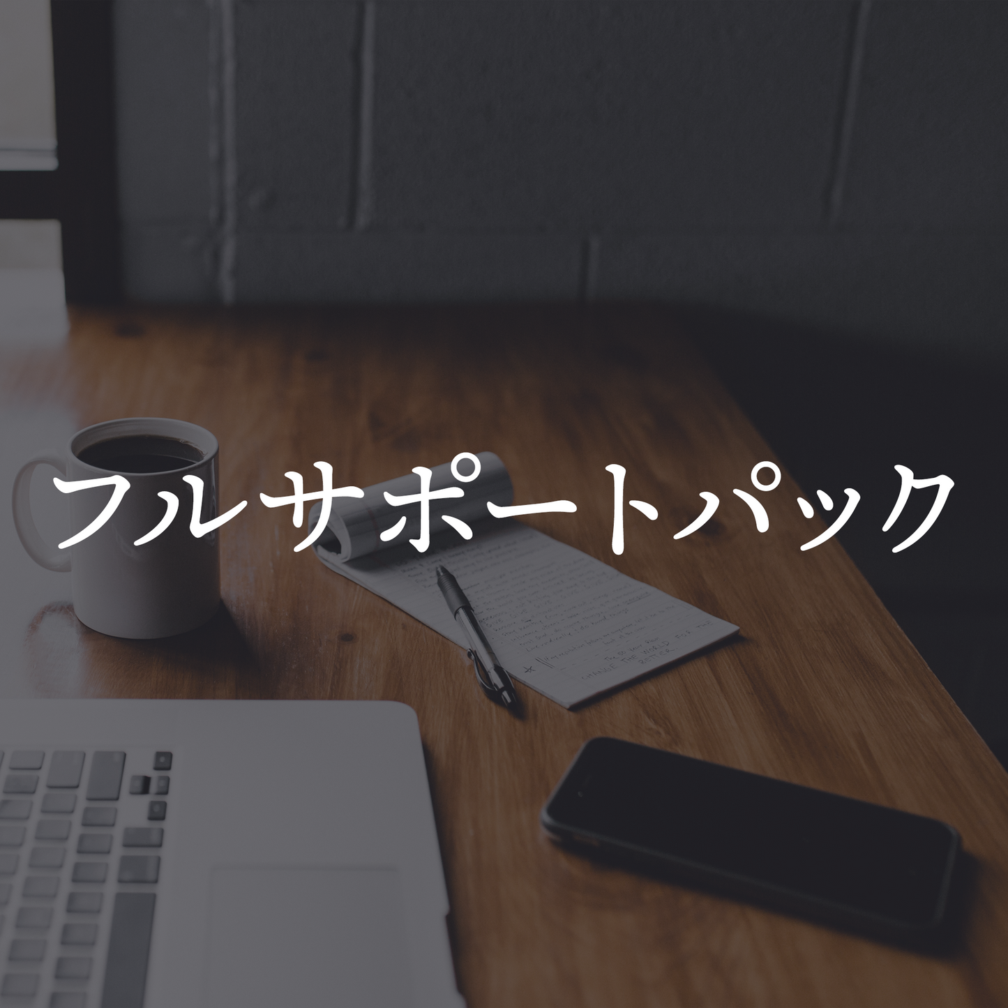 フルサポートパック(税抜価格 100,000円)